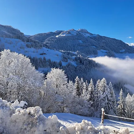 Grasreithof Grossarl