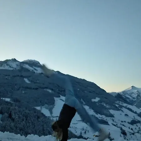 Grasreithof Appartamento *