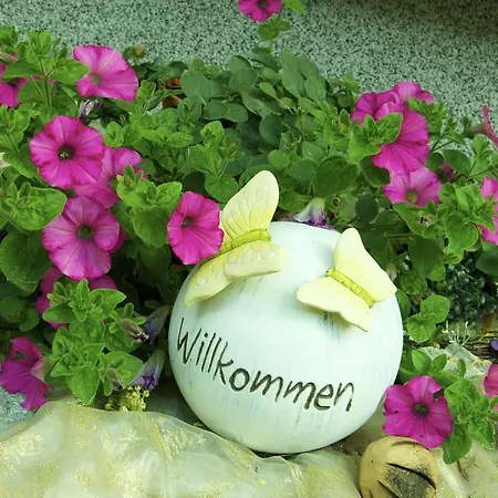 Apartament Grasreithof *