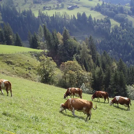 Grasreithof Grossarl