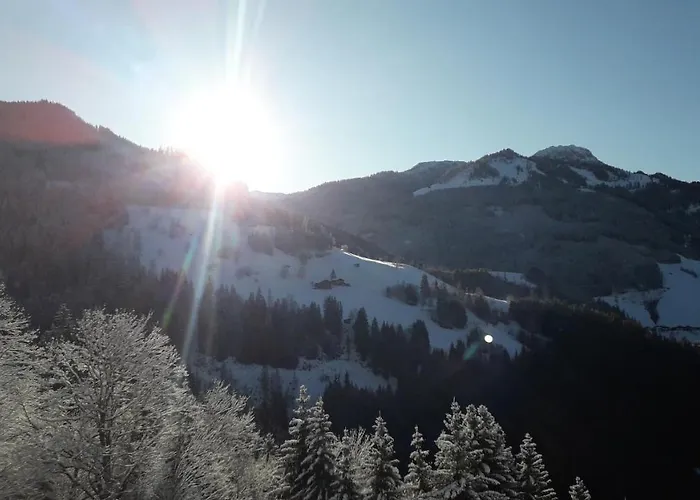 Grasreithof Grossarl