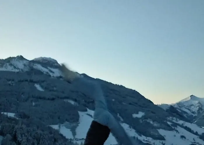 Grasreithof Apartman *