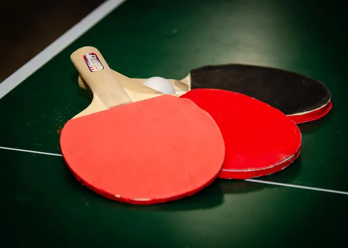 Grasreithof Apartman Grossarl