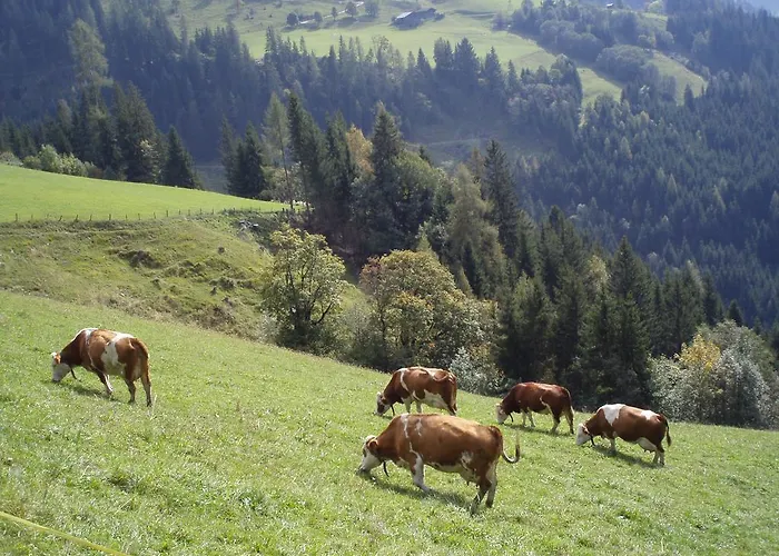 Grasreithof Grossarl